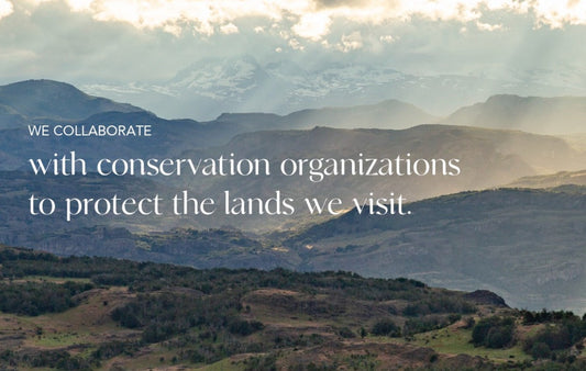 We collaborate with conservation organizations to protect the lands we visit